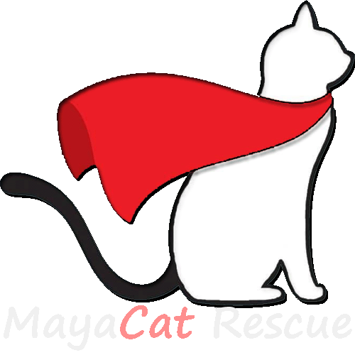 Mayacat
